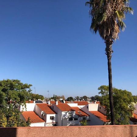 Apartamento Familia Anfitriona Acoge Terraza Sevilla Exterior foto