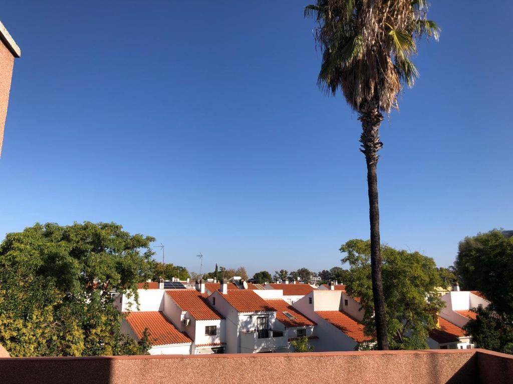 Apartamento Familia Anfitriona Acoge Terraza Sevilla Exterior foto